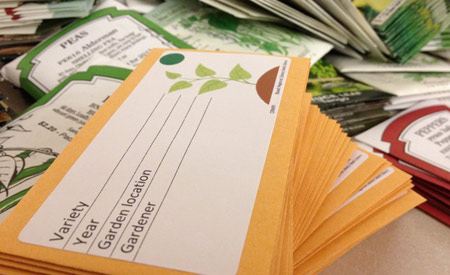 As sementes são armazenadas em envelopes com etiquetas que descrevem informações da fruta ou vegetal, e o nome do produtor.